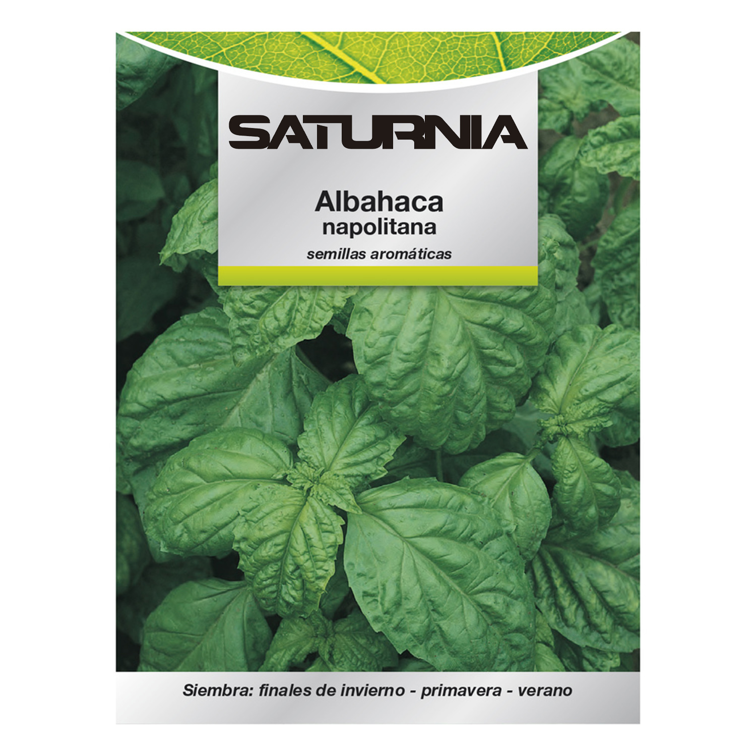 Semillas Aromticas Albahaca Gigante (5 gramos) Horticultura, Horticola, Semillas Huerto,