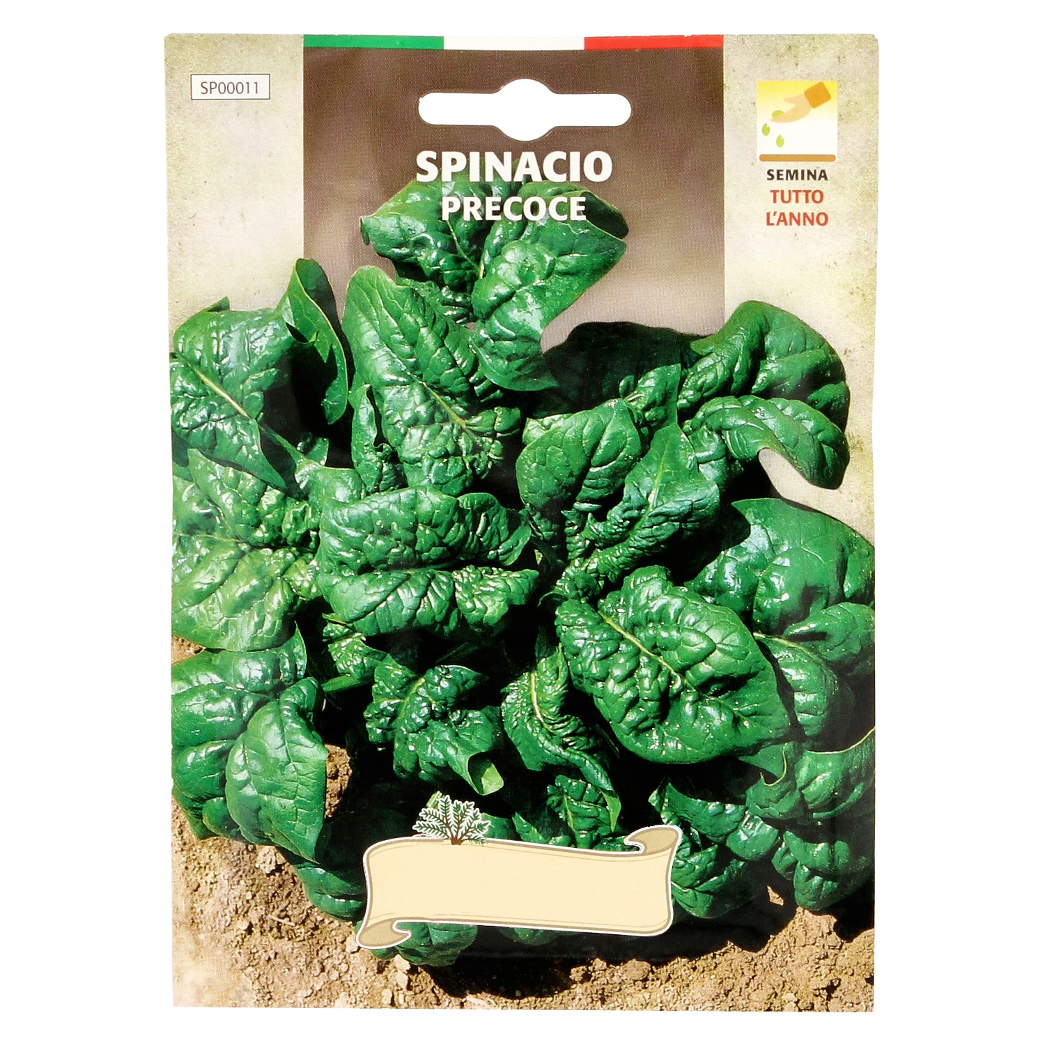 Semillas Espinaca Temprana (8 gramos) Semillas Verduras, Horticultura, Horticola, Semillas Huerto,