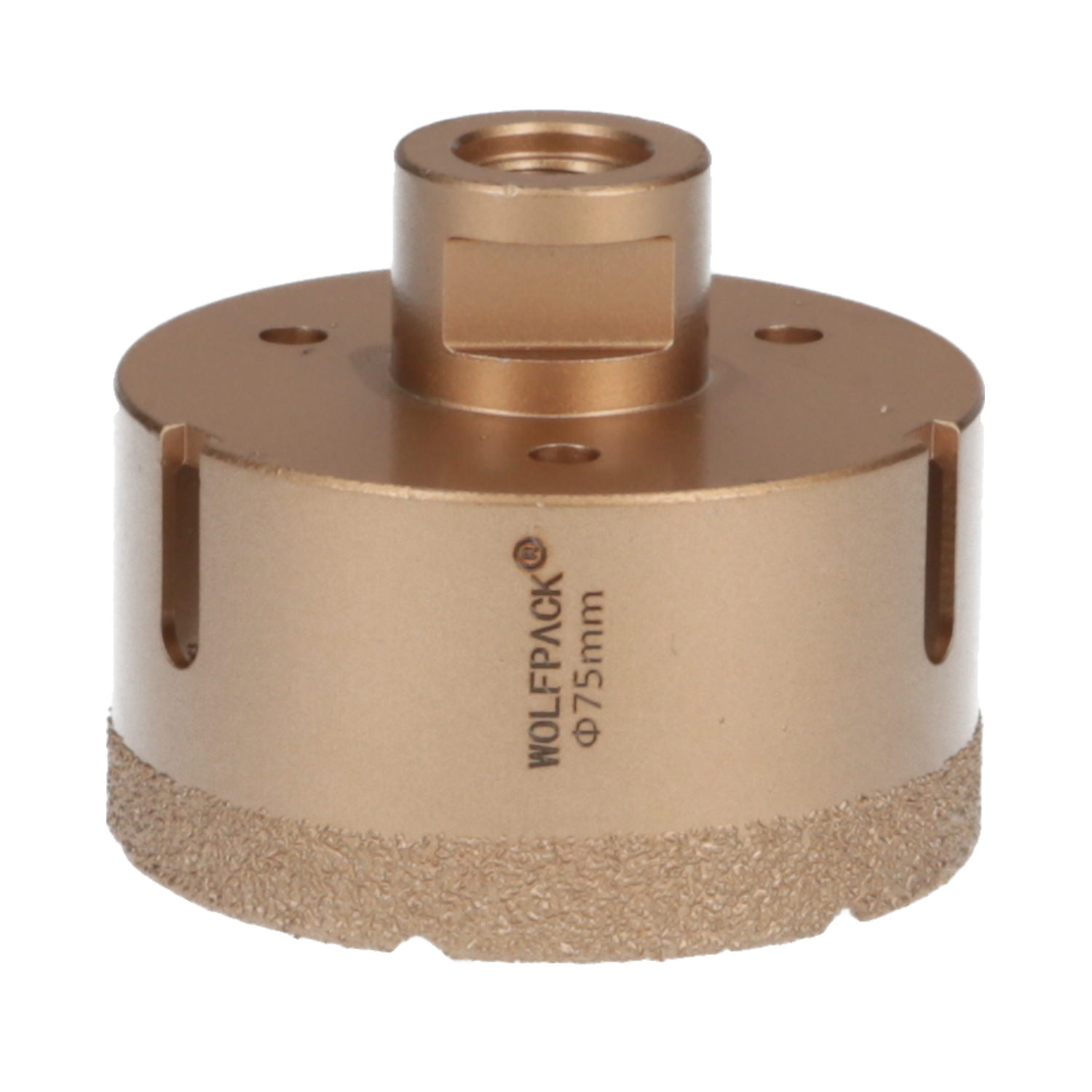 Corona Diamante Para Amoladora  75 mm, Conexin Rosca M14, Corte Seco