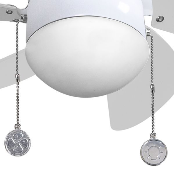 Tulipa Ventilador Delfn, Tramontana y Cibeles